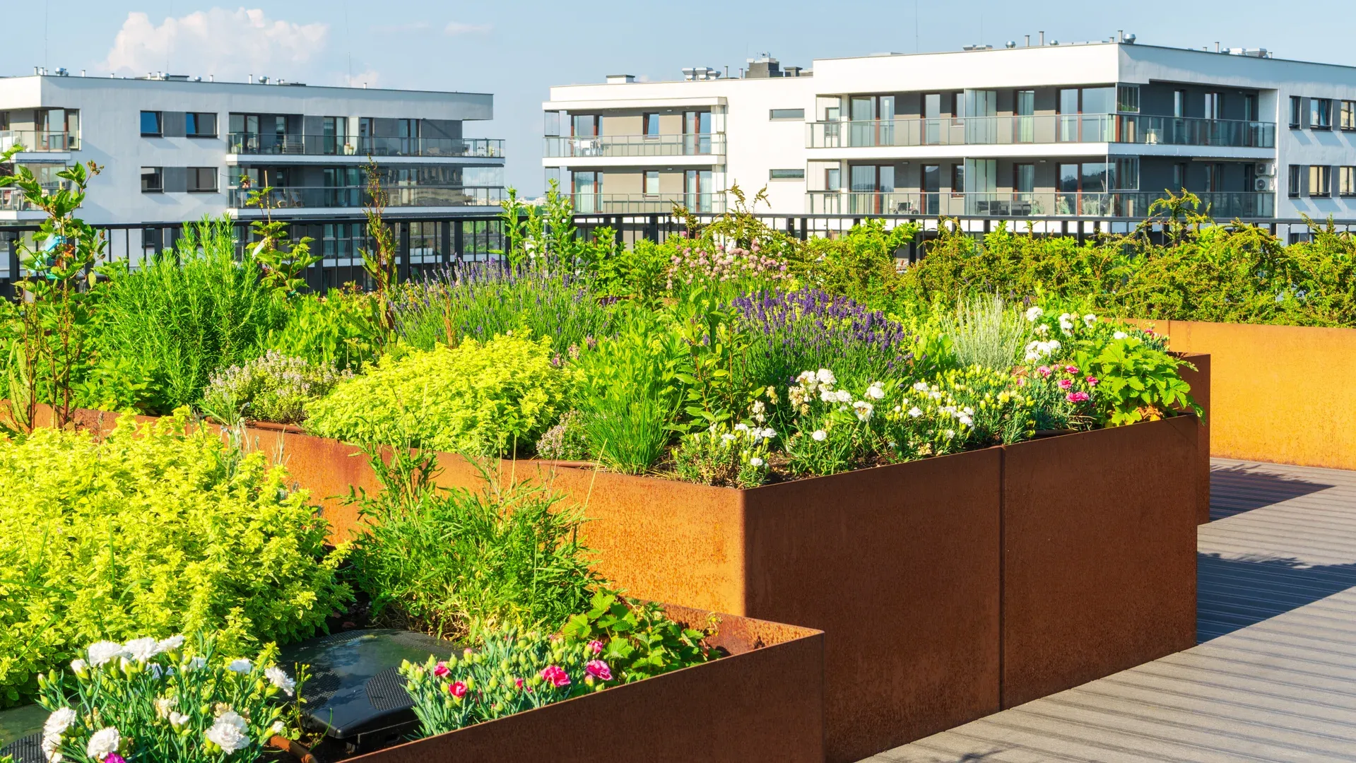 Growclad Dachbegrünung